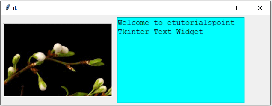 Python text image widget